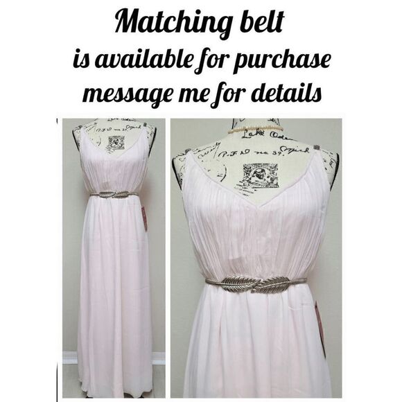 Pink Blush Elegant Sleeveless Beaded Classy Wedding Prom Maxi Dress SIZE XS NWT - Picture 13 of 15